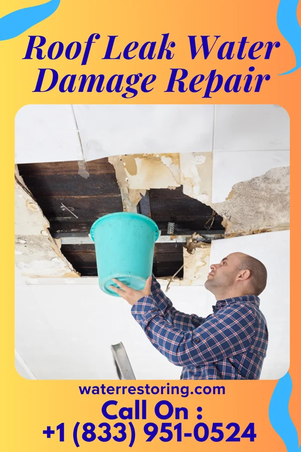 Roof Leak Water Damage Repair in Kerrville, TX
